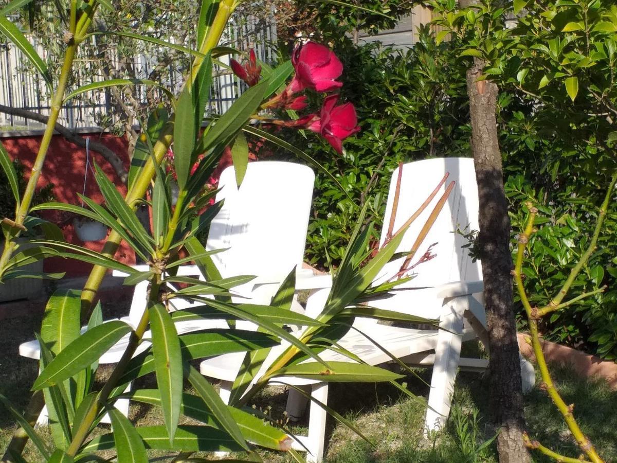 Bed & Breakfast La Rosa Rossa Cagli Zewnętrze zdjęcie