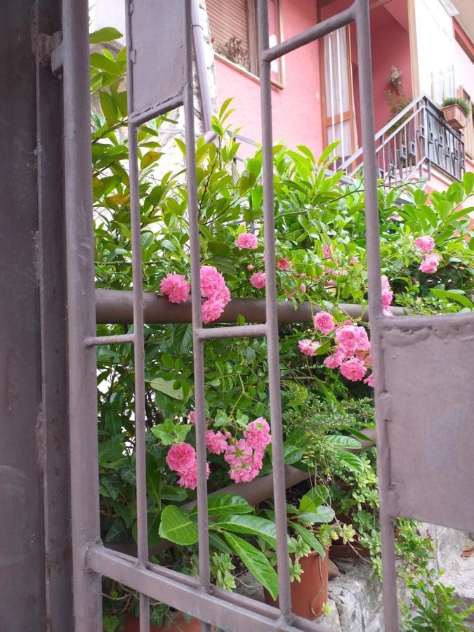 Bed & Breakfast La Rosa Rossa Cagli Zewnętrze zdjęcie